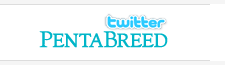 twitter PentaBreed 