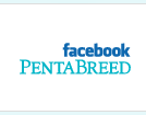 facebook PentaBreed