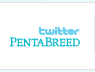 twitter PentaBreed