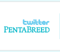 twitter PentaBreed