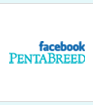 facebook PentaBreed