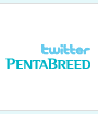 twitter PentaBreed