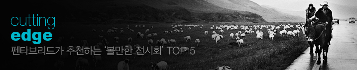 Ÿ긮尡 õϴ  ȸ TOP 5