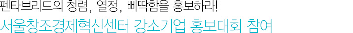 펜타브리드의 청렴, 열정, 삐딱함을 홍보하라! 서울창조경제혁신센터 강소기업 홍보대회 참여