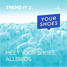 TREND IT 2. MEET YOUR SHOES, ALLBIRDS